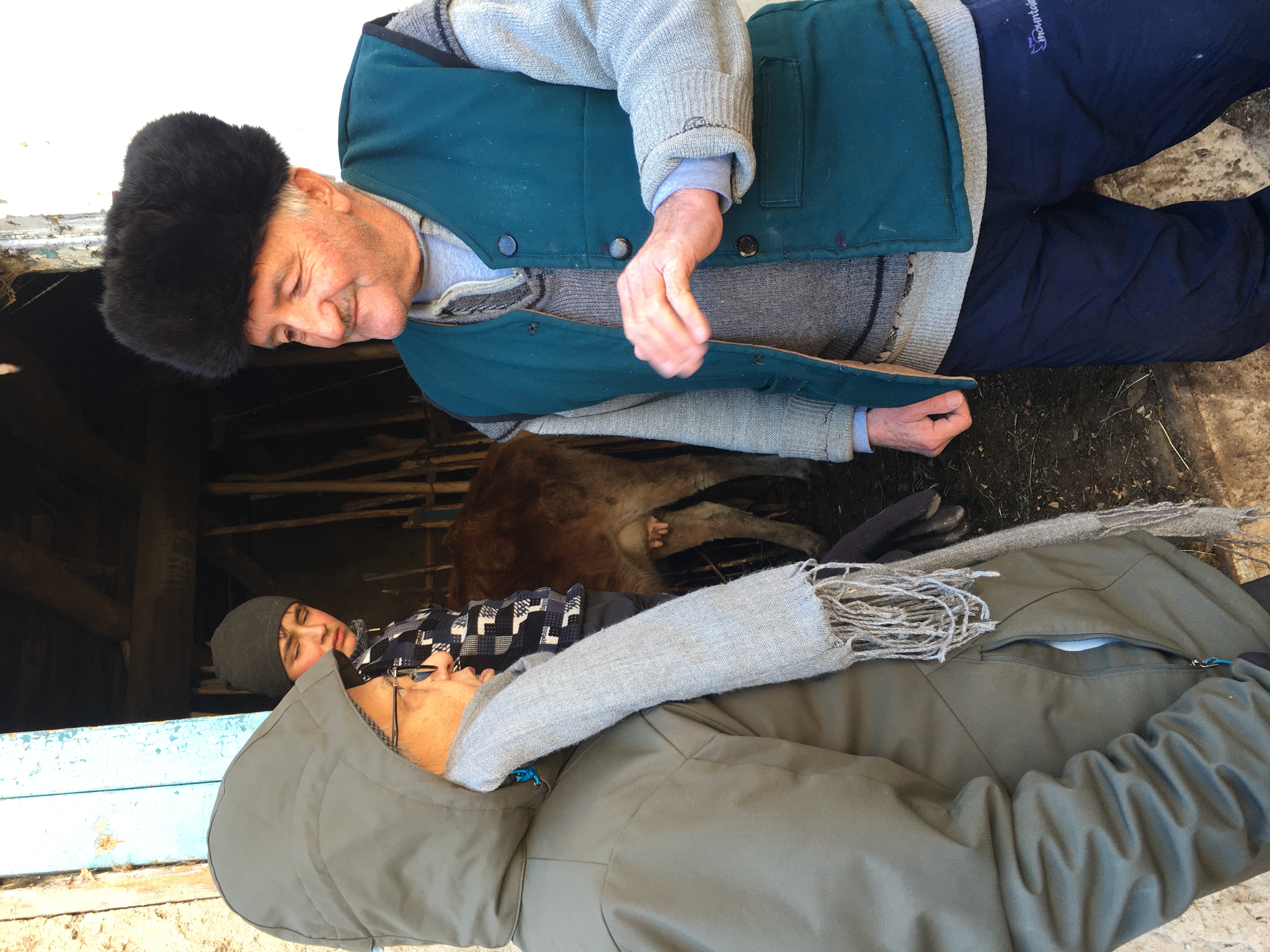 Livestock Project Monitoring